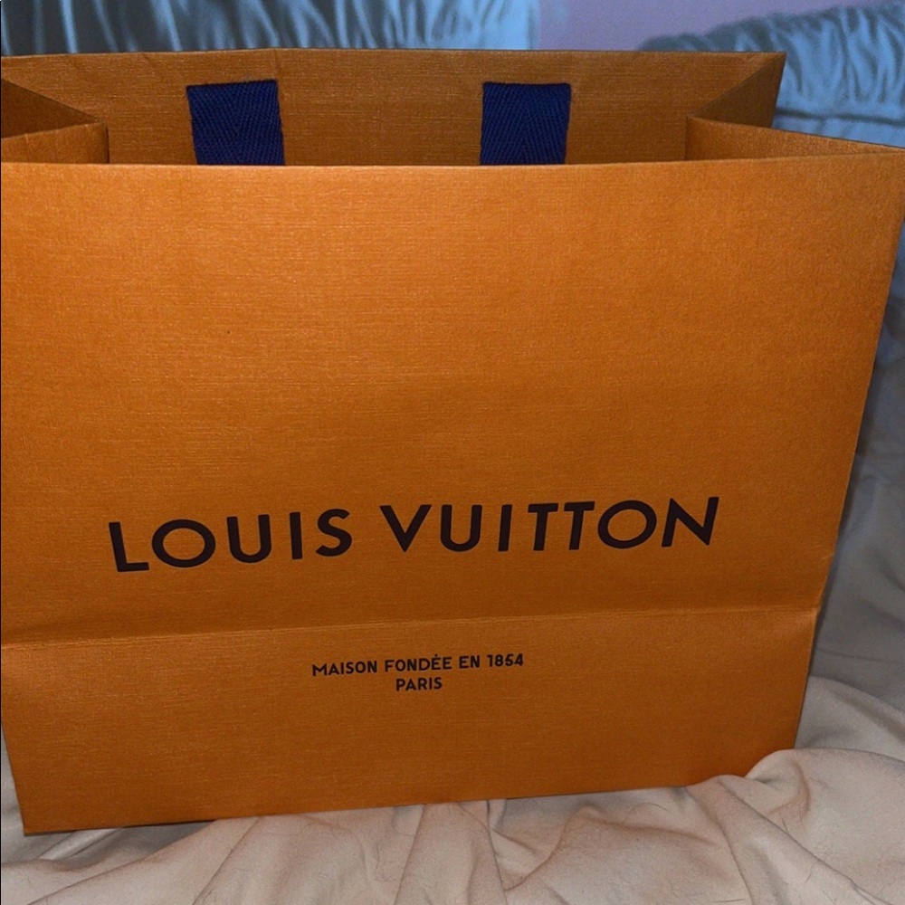 Louis Vuitton shopping bag  (sunglasses/jewelry)